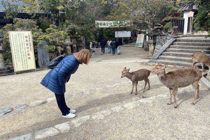 関西の見どころ3日間、大阪、奈良、京都