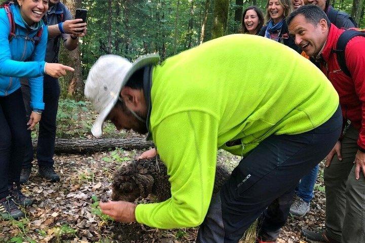 De Sofia: Foragitar fungos e comida selvagem experiência com Dobrin