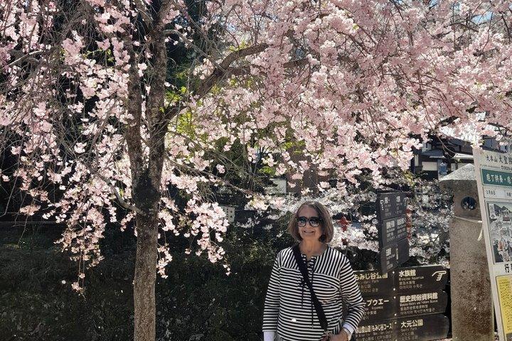 7 hours Private Tour in Hiroshima