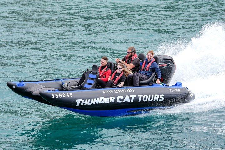 Hoteller i nærheden af Phillip Island High Speed Sea Caves Boat Tour