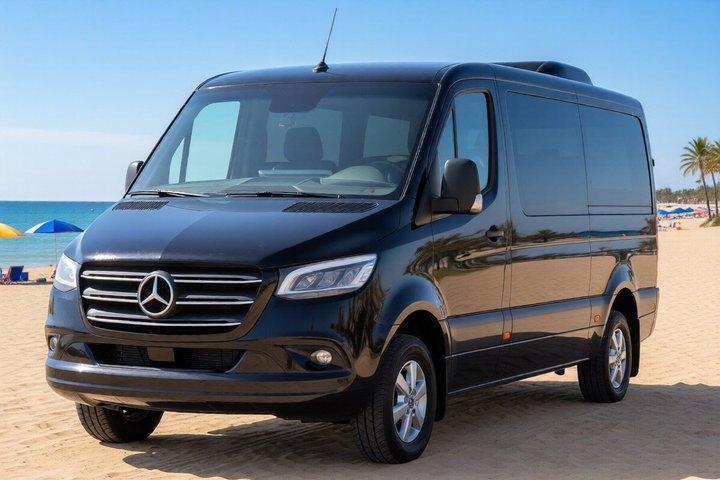 8 Must-Sees by Van: Private Shore Excursion for Cruise Passengers
