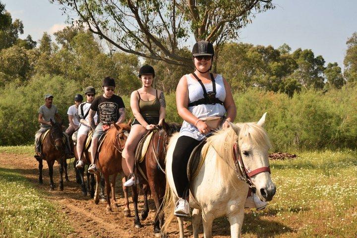 Kusadasi Quad Buggy Horse Safari with Hotel and Port Pickup