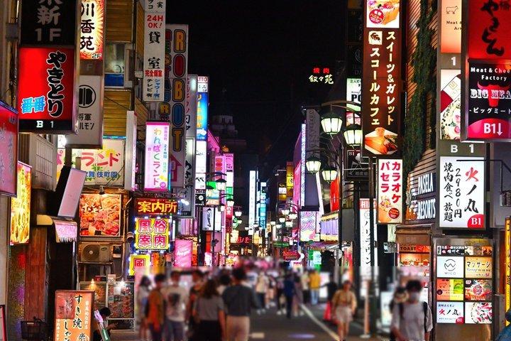 Private Tokyo Night Driver-Führung