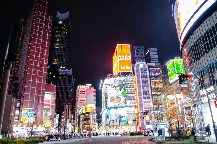 Private Tokyo Night Driver-Führung