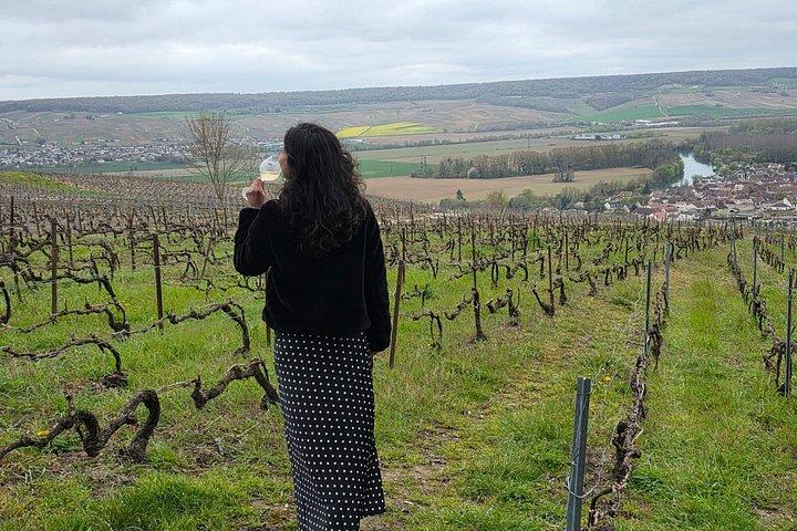 Champagne Munoz Bruneau : Half Day Visit and Tasting