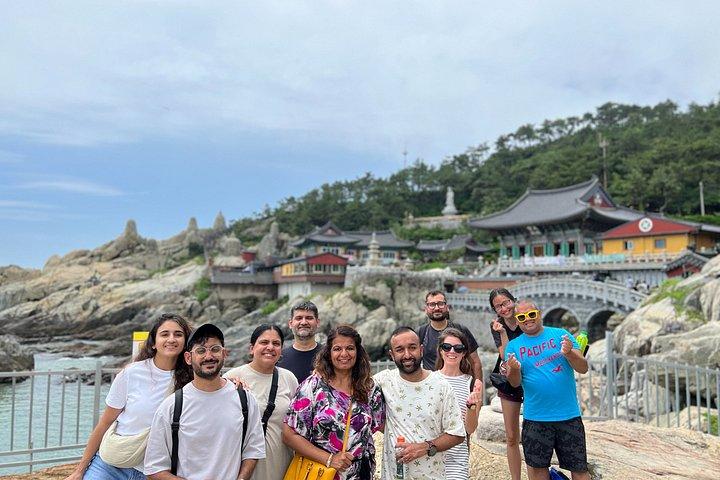 Busan Cruise Shore Excursion with Guaranteed On-Time Return