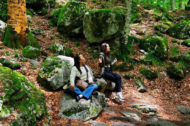 From Sofia: Rila Monastery, St. Ivan Cave & Alpine Picnic Tour
