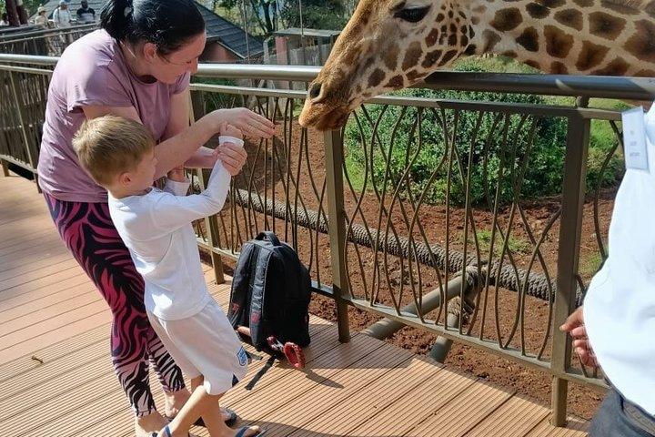 Karen Blixen, tour della fauna e della giraffa