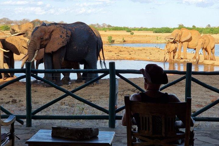 2 - デイタイタヒルズ野生動物保護区&ツァボイーストサファリ-モンバサ