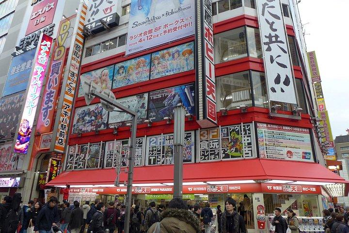 東京近代都市-ウォーキングプライベートツアー