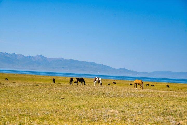遊牧民の乗馬とユルト滞在としてのキルギス、ソンクル湖