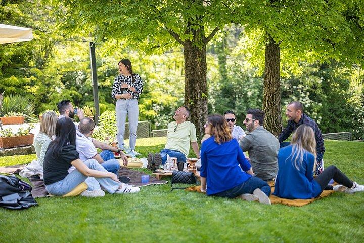 Valpolicella: Winery Tour, Wine Tasting and Picnic