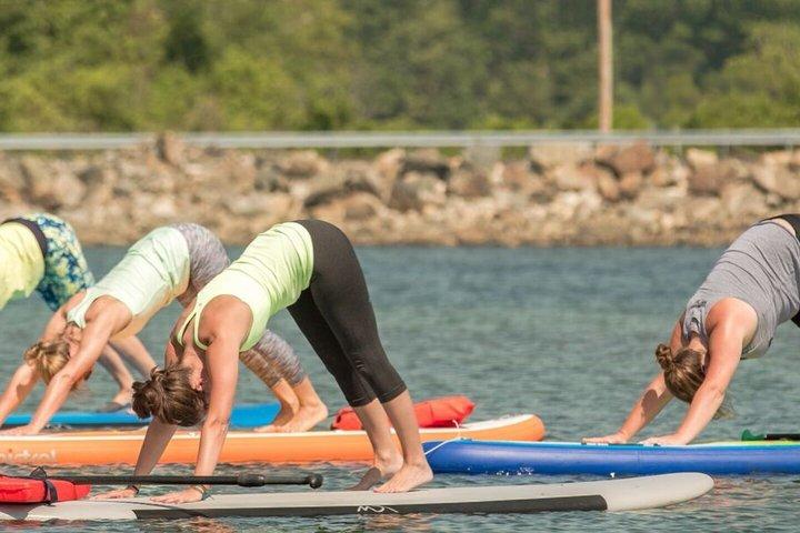 Lezione di Yoga con Paddleboard Guidato a Boston