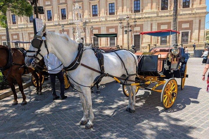 Essentie van Sevilla met koetsrit Flamenco en ophalen