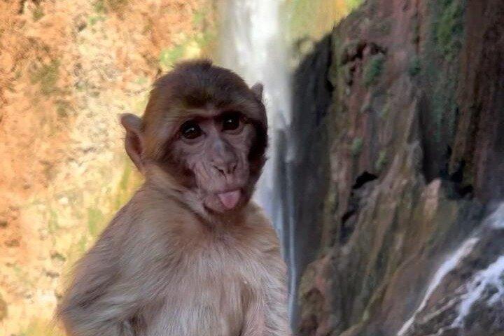 ウーズー滝日帰りツアー-マラケシュからウーズーへの日帰りツアー