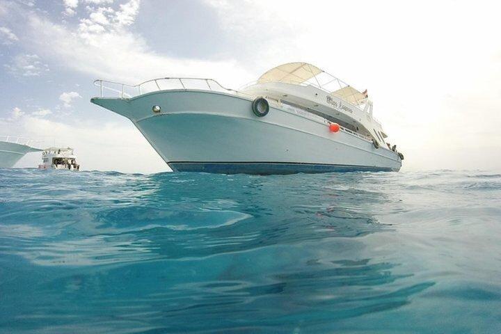 Giornata intera Hamata & Isole Qulaan Gita in barca e pranzo: Marsa Alam