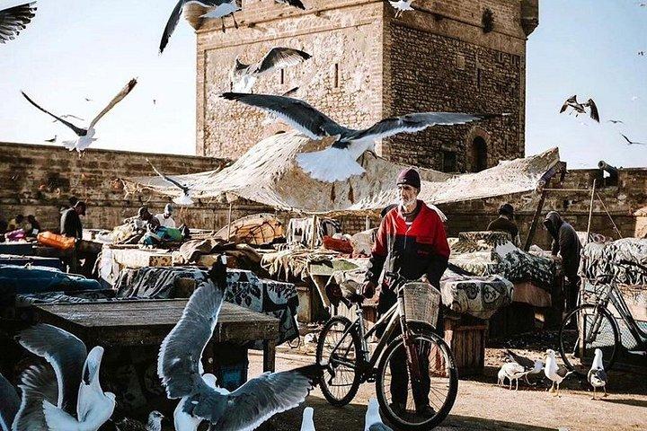 マラケシュ発エッサウイラ日帰り旅行-エッサウイラ日帰り旅行