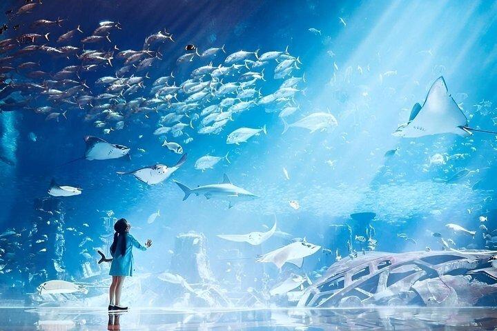 Lost World akvarium billet i Atlantis Dubai