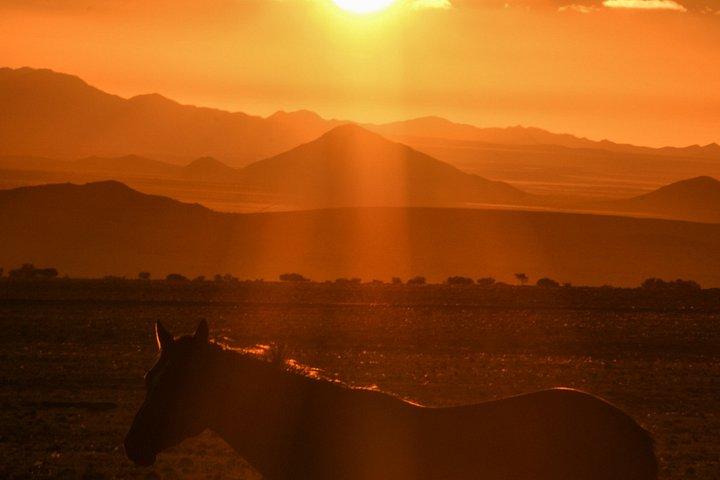 9日間の峡谷、砂丘、野生動物のキャンプ、ロッジサファリ