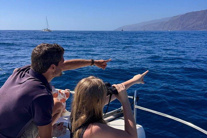 Private Katamarantour mit Open Bar ab Funchal