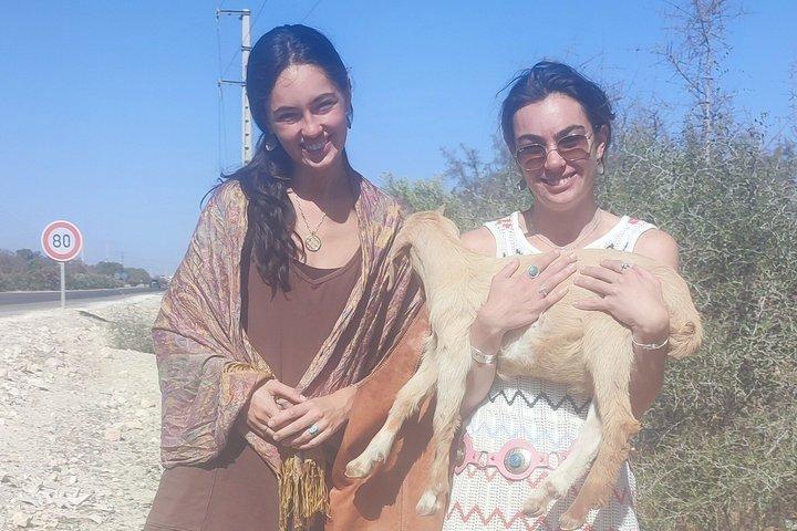 マラケシュからエッサウィラへ、またはエッサウィラからマラケシュへのプライベート送迎