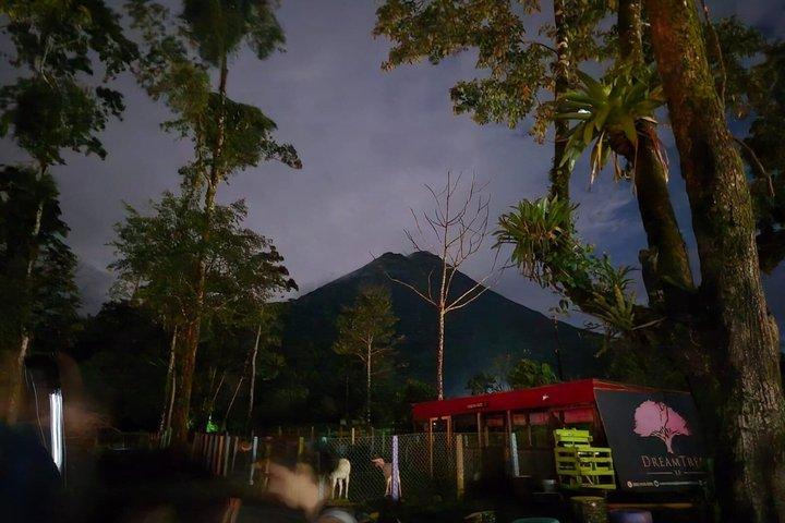 La Fortuna Night Walk - Luiaards, kikkers & wilde dieren (kleine groep)