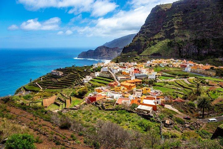 Private Shore Tour: La Gomera Discovery