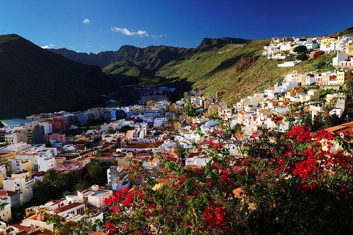 Private Shore Tour: La Gomera Discovery