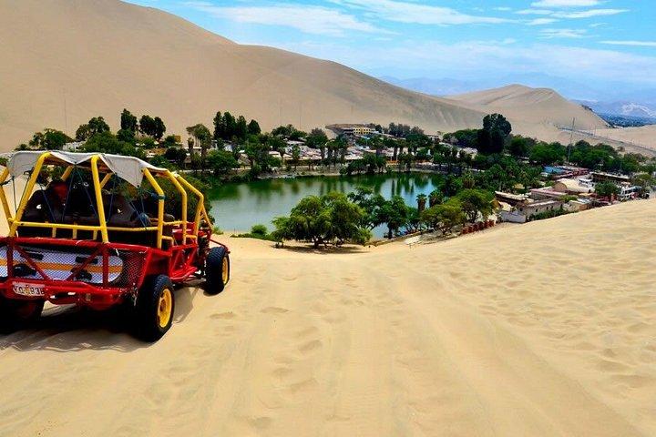 リマ発の観光バスを利用したパラカスとイカへの終日旅行