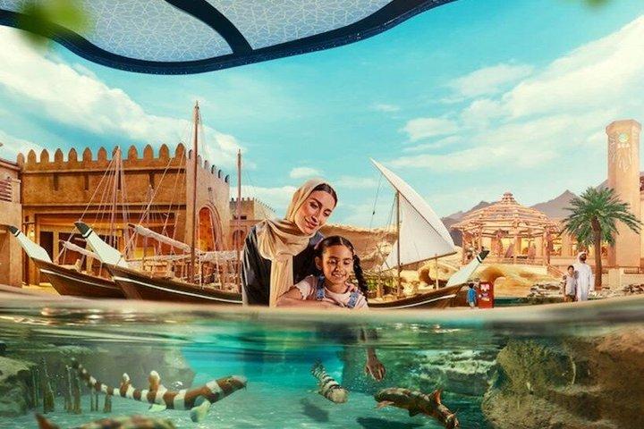 Yas Island Theme Parks Experience Passes with options