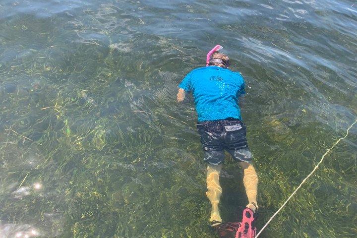 水中アドベンチャー! シュノーケル ホタテ貝殻用!