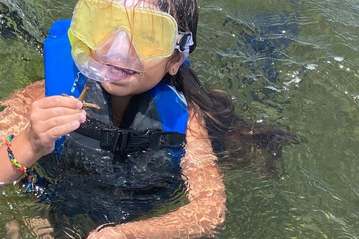 水中アドベンチャー! シュノーケル ホタテ貝殻用!