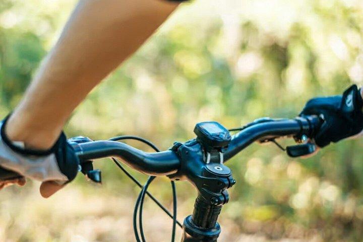 マラケシュからのランチ付きイムリル・アトラス山脈自転車ツアー