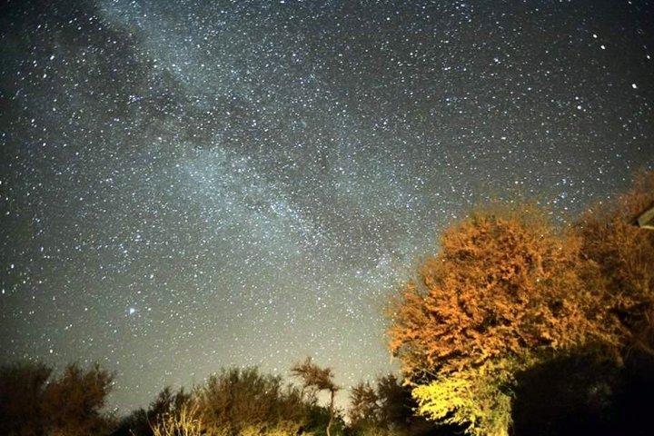 天体観測ツアー：星空を眺める夜