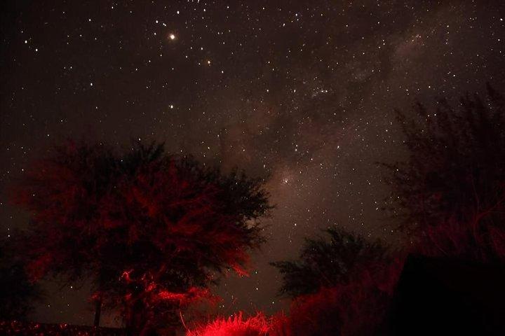 天体観測ツアー：星空を眺める夜