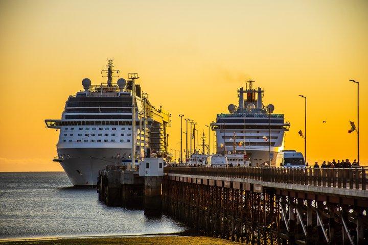 Eksklusiv minivan Punta Tombo Shore Tour (op til 10 personer) VIP Tour
