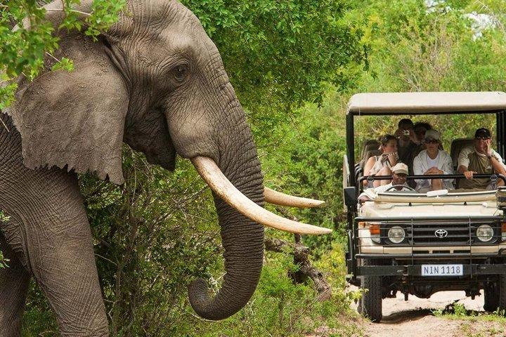 2 nätter och 3 dagars Kruger National Park Safari och panoramarutt