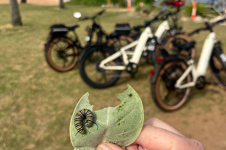 Guided E-Bike Tour in North Shore