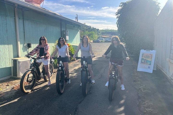 Guided E-Bike Tour in North Shore