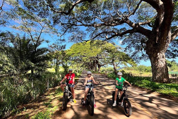 Guided E-Bike Tour in North Shore