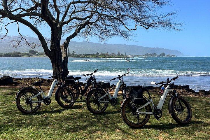 Guided E-Bike Tour in North Shore
