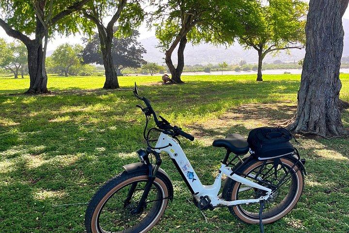 Guided E-Bike Tour in North Shore