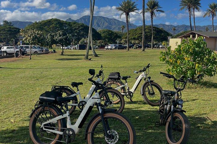 Guided E-Bike Tour in North Shore