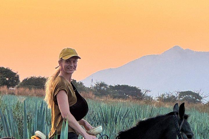 Reiten durch die Agavenfelder in Tequila