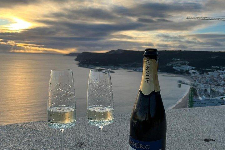 Privata vinresor i Setúbal och Arrábida