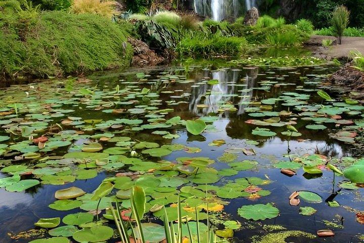 Auckland Waterfall Tour