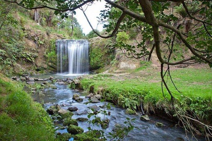 Auckland Waterfall Tour