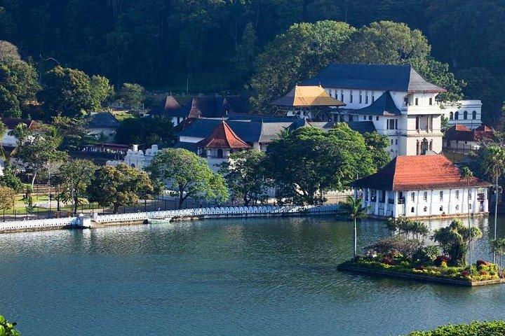 キャンディ全日トゥクトゥクツアー市内見どころと絶景
