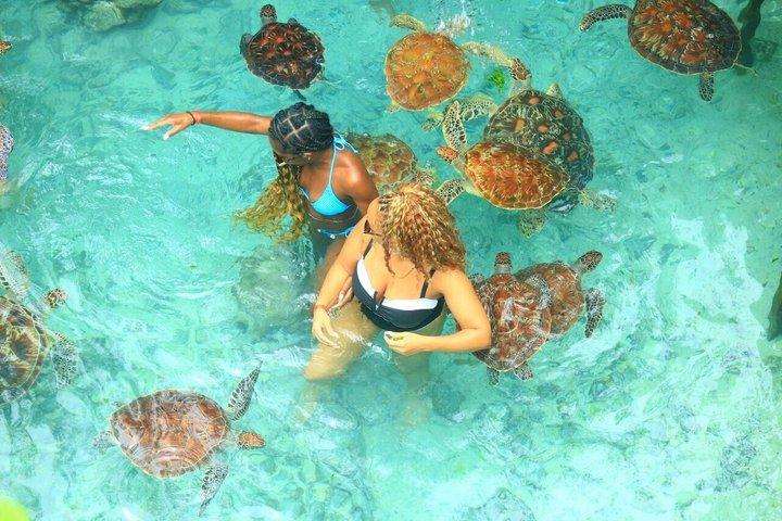ジョザニの森サラーム洞窟クザ洞窟とムテンデビーチ