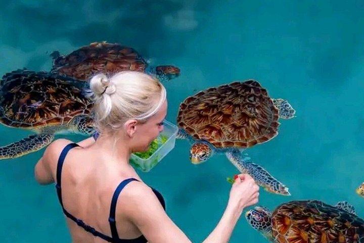 ジョザニの森サラーム洞窟クザ洞窟とムテンデビーチ